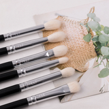 Professional Makeup Brushes Set