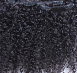 Kinky Curly Clip In Hair Extensions