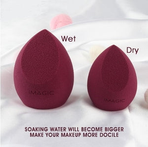 Makeup Foundation Sponge
