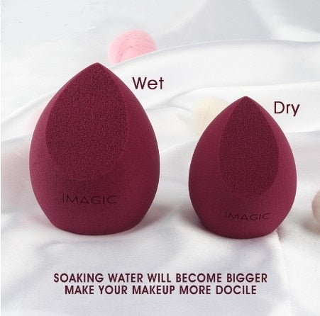 Makeup Foundation Sponge