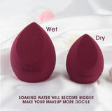 Makeup Foundation Sponge
