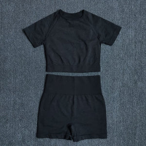 Seamless Women Yoga Set Workout Sportswear