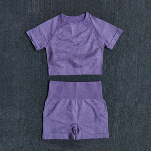 Seamless Women Yoga Set Workout Sportswear