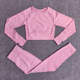 Seamless Women Yoga Set Workout Sportswear