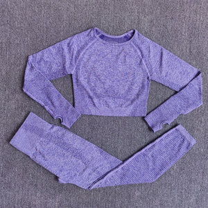 Seamless Women Yoga Set Workout Sportswear