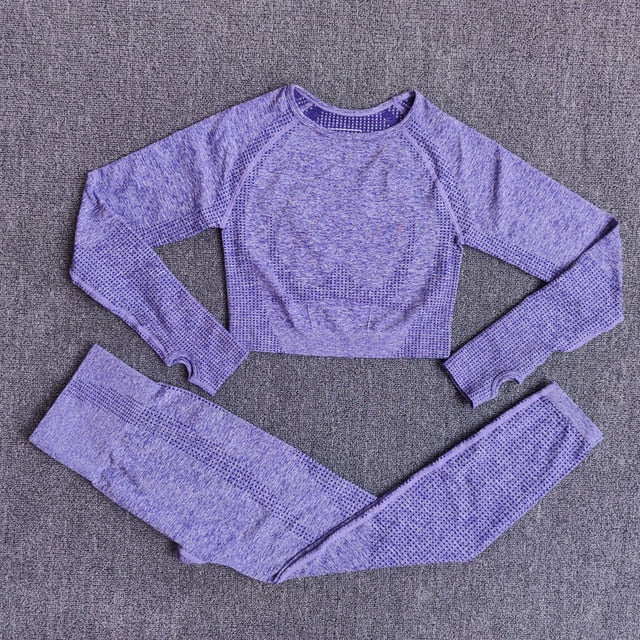 Seamless Women Yoga Set Workout Sportswear