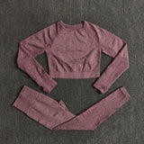 Seamless Women Yoga Set Workout Sportswear