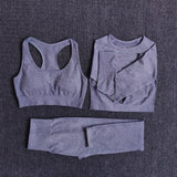 Seamless Women Yoga Set Workout Sportswear