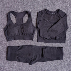 Seamless Women Yoga Set Workout Sportswear