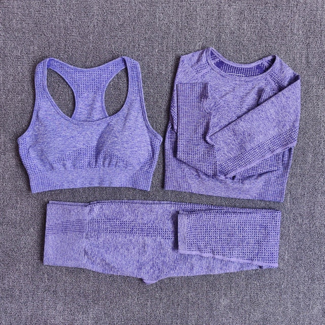 Seamless Women Yoga Set Workout Sportswear