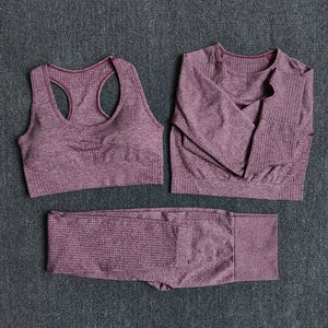 Seamless Women Yoga Set Workout Sportswear