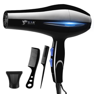 220V Blow Hair Dryer
