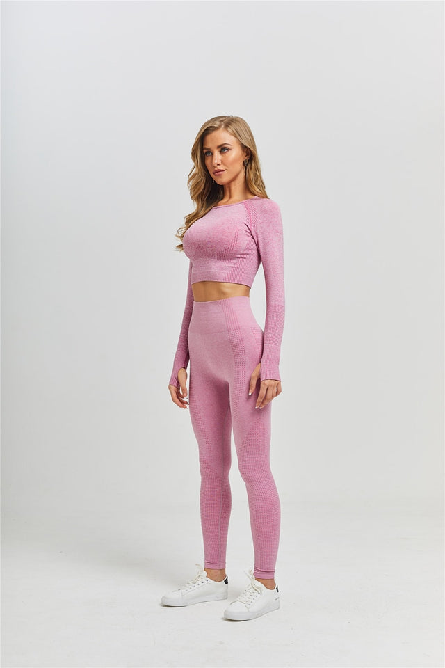 Seamless Women Yoga Set Workout Sportswear