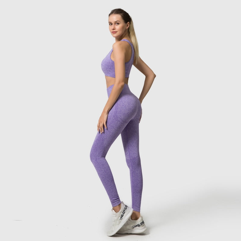 Seamless Women Yoga Set Workout Sportswear