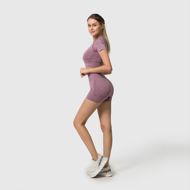 Seamless Women Yoga Set Workout Sportswear