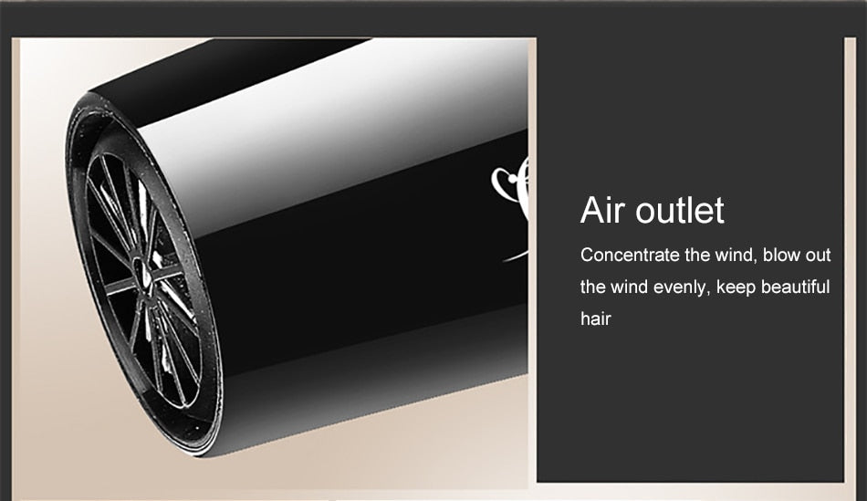 220V Blow Hair Dryer