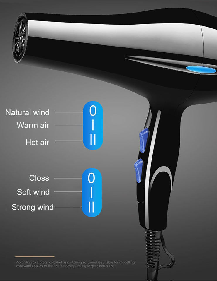 220V Blow Hair Dryer