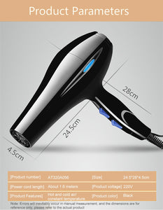 220V Blow Hair Dryer