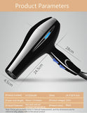 220V Blow Hair Dryer